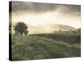 Stretched Canvas