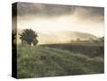 Stretched Canvas