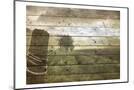 Wood Mount