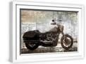 White Frame