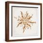 Brown Frame