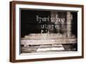 Brown Frame
