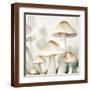 Brown Frame