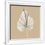 Gramercy White