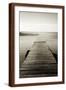 Brown Frame