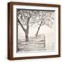 Brown Frame