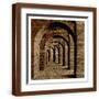 Brown Frame