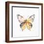 Brown Frame
