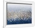 Gramercy White