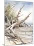 Wood Mount