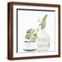 Brown Frame