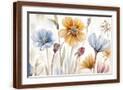 Brown Frame
