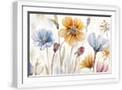 White Frame