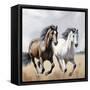 Canvas Black