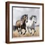 Brown Frame