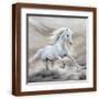 Brown Frame