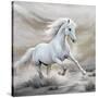 Stretched Canvas