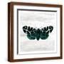 Brown Frame
