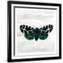 Gramercy Black