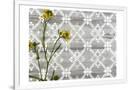 Gramercy White