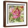 Brown Frame