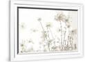 Gramercy White