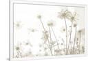 Gramercy White