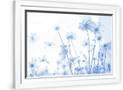 Gramercy White