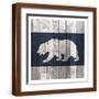 Brown Frame