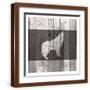 Brown Frame