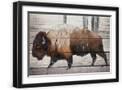 Black Frame