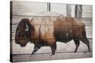 Stretched Canvas