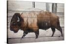 Stretched Canvas