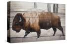 Stretched Canvas