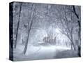 Stretched Canvas