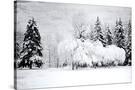 Stretched Canvas