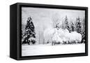 Canvas Black