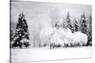 Stretched Canvas