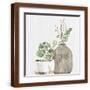 Brown Frame