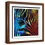 Brown Frame