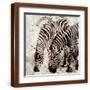 Brown Frame