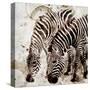Stretched Canvas