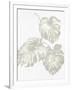 Gramercy White
