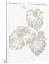 Gramercy White