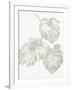 Gramercy White