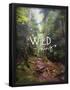Essential Black