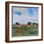 Brown Frame