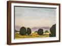 Brown Frame