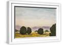 White Frame
