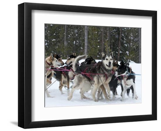 Premium Photographic Print, , large